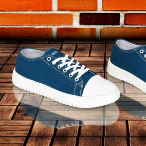 Mens Blue Canvas Shoes