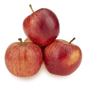Apple Plant
