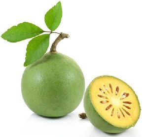 Bael Plant