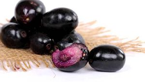 Black Plum Plant
