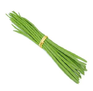 Drumstick Plant