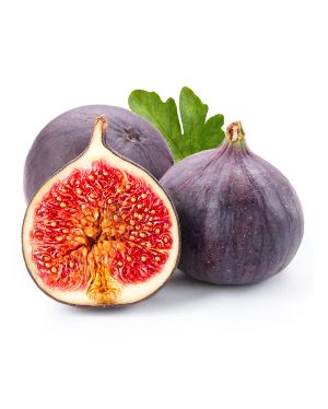 Figs Plant