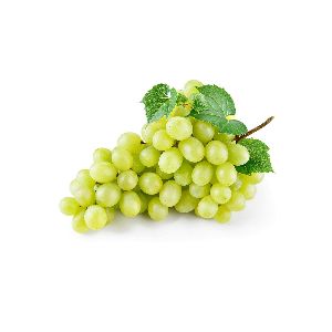 Green Grapes Plant