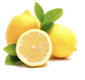 Lemon Plant