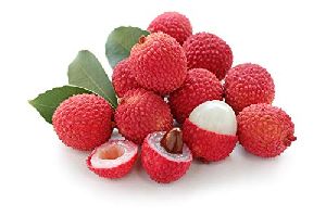 Lychee Plant