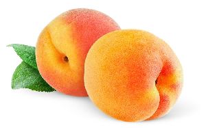Peach Plant