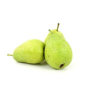 Pear Plant
