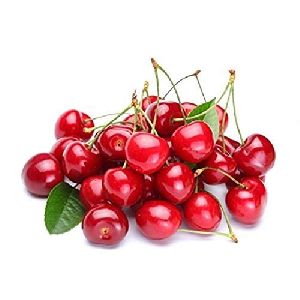Red Cherry Plant