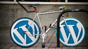 wordpress web development service