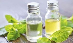 Natural Mentha Oil