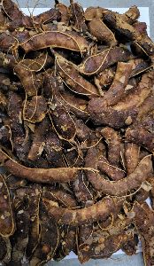 Tamarind Extract