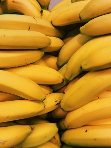 Banana ( G9 )