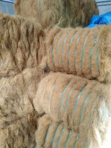 Coir Fiber