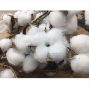 raw organic cotton