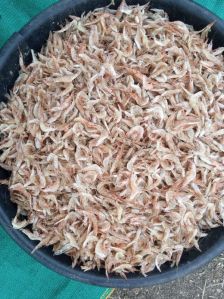 Dry Shrimps