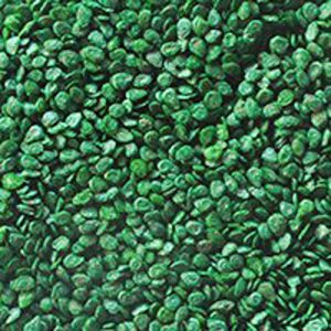 Tomato Seed Coating Polymer manufacturers