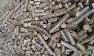 Bio Mass Briquettes