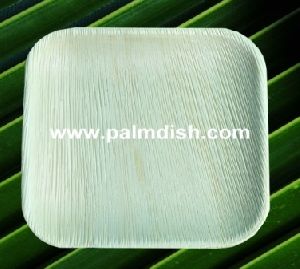 ARECA DISPOSABLE PLATE - 10 INCH SQUARE