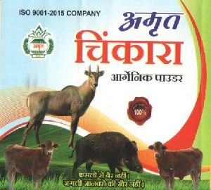 Amrit Chinkara