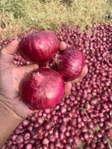 Red Onion