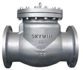Check Valve
