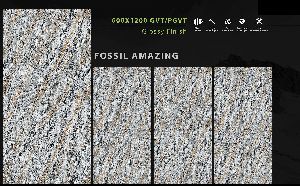600x1200 mm Fossil Series Glossy GVT/PGVT Tiles