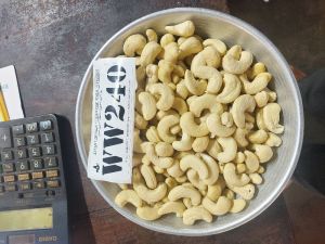 Cashew Kernel