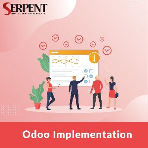 ERP system implementation services odoo module implementation-SerpentCS
