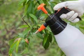 Trianz Biofungicide
