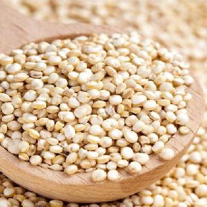 Bold Quinoa Seeds