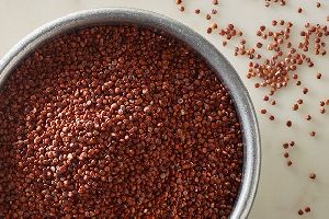 Red Quinoa Seeds , Chenopodium quinoa