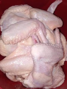 Frozen Chicken Wings