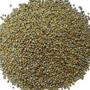 Animal Feed Bajra