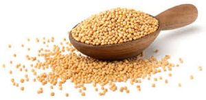 Yellow Sortex Mustard Seeds