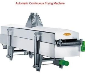 Automatic Fryer Machine