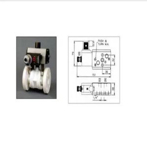 Industrial Foot Valve