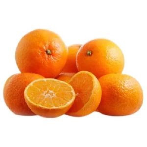 Fresh Citrus Orange