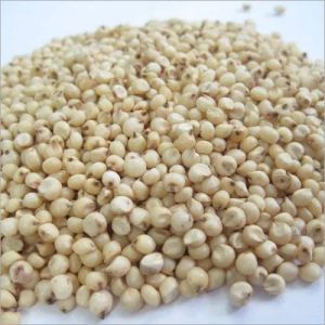 Natural Jowar Seeds