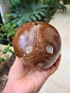 Coconut Shell Piggy Bank