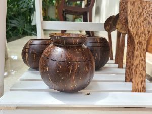 Coconut Shell Flower Pot