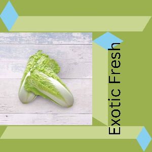 Chinese Cabbage