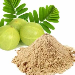 Herbal Amla Powder