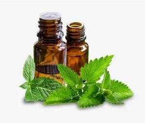 Peppermint Essential Oil