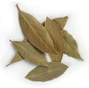 Bay Leaves