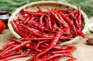 Dried Red Chilli