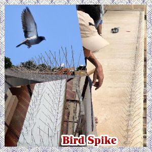 Bird Spike