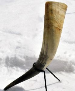 Drinking Horns