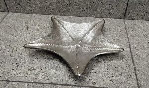 Star Fish Platter