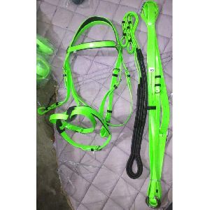 Pvc riding Bridle and Martingale Green