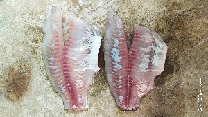 Tilapia Fillet